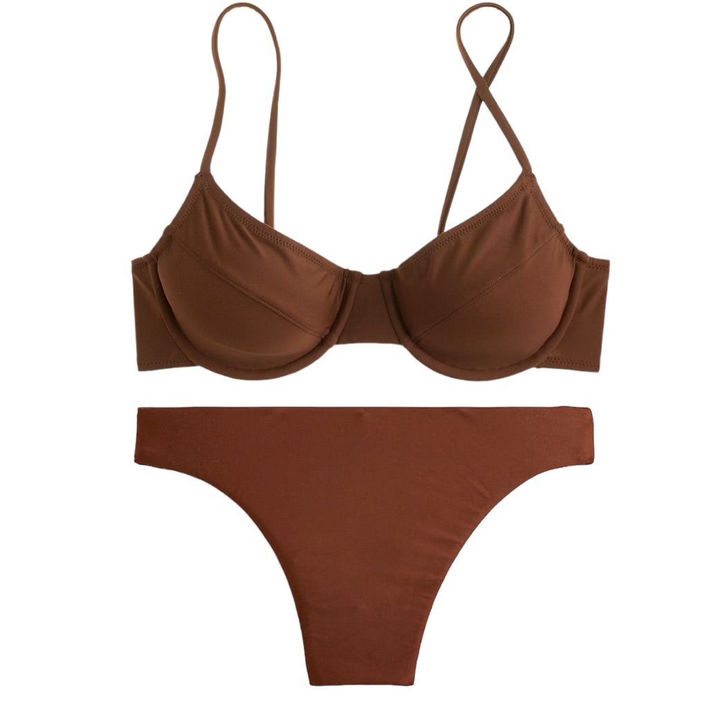 J. Crew 1993 Underwire High Rise Cheeky Bikini Dark Twig Nwt
